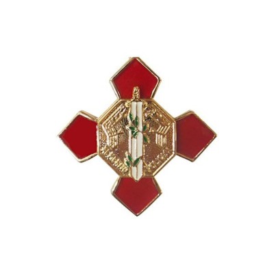 PIN CRUZ MERITO POLICIAL DISTINTIVO ROJO