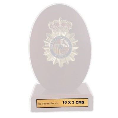 CHAPA PERSONALIZABLE PARA...