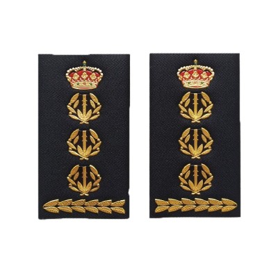 DIVISAS COMISARIO PRINCIPAL DEL CNP