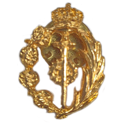PIN CUERPOS COMUNES