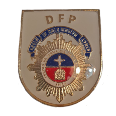 PIN DIVISION DE FORMACION Y PERFECCIONAMIENTO (DFP)