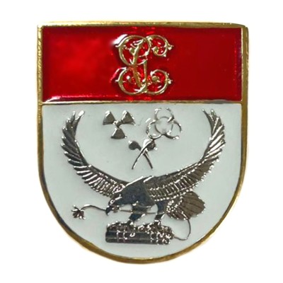 DISTINTIVO TITULO GUARDIA...