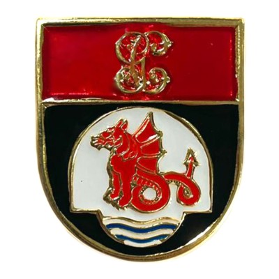 DISTINTIVO TITULO GUARDIA...