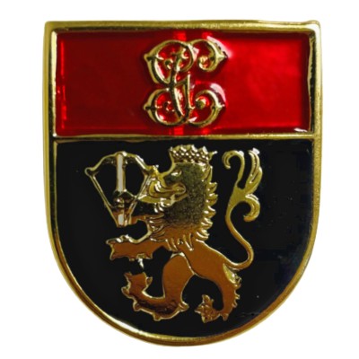 DISTINTIVO TITULO GRUPO...
