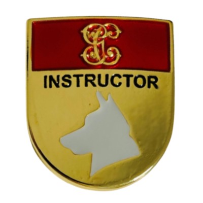 DISTINTIVO TITULO...