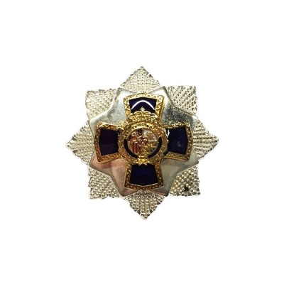 PIN MEDALLA XXX AÑOS ANTIGUEDAD CNP