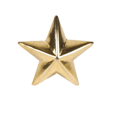 ESTRELLA METÁLICA DE 5 PUNTAS