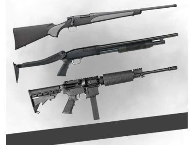 ARMA LARGA