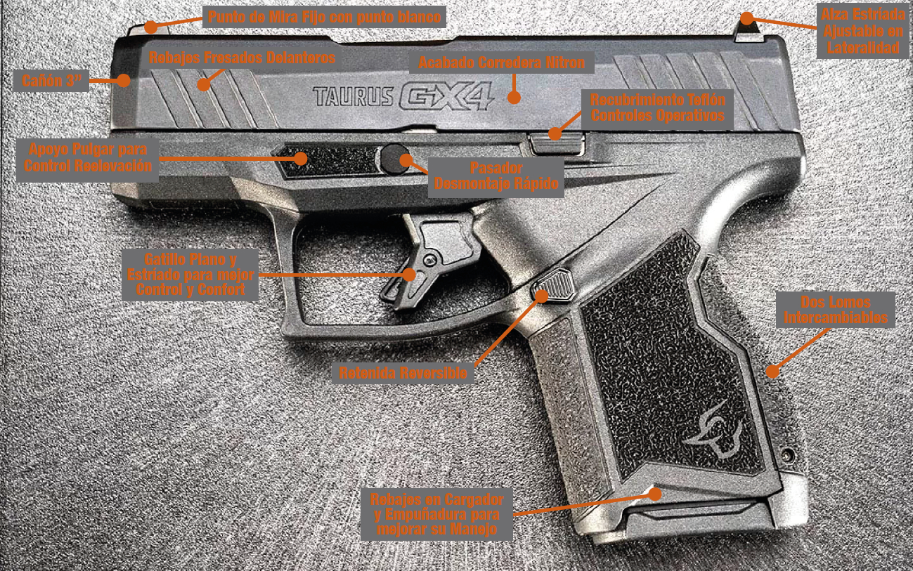 GX4.jpg