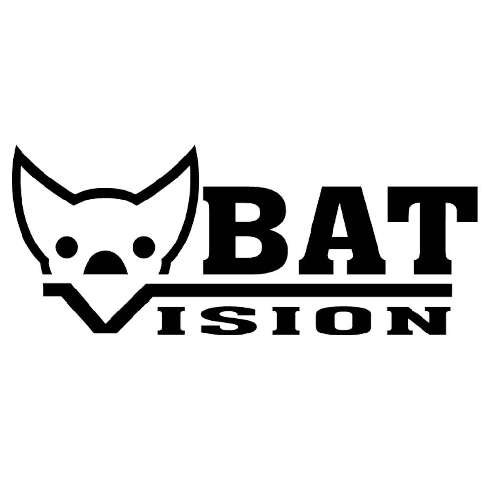 BAD VISION